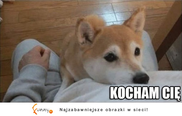 Kocham cię