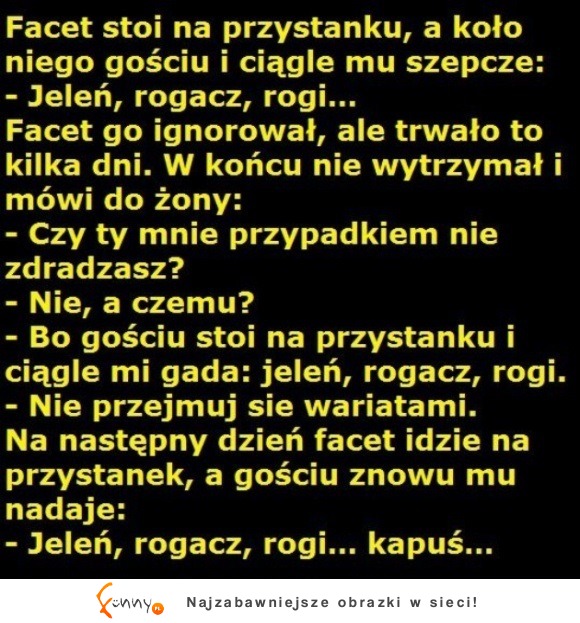 Hehe facet słyszy głosy w autobusie i postanawia zapytać żonę, co to może znaczyć :D