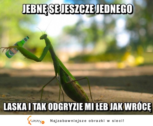 Jeszcze jeden ;D