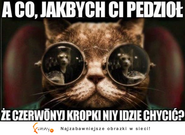 Kropka :D