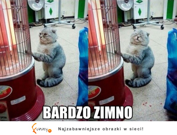 Bardzo zimno