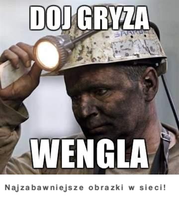 Doj gryza