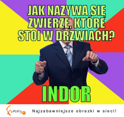 Zwierzę w drzwiach