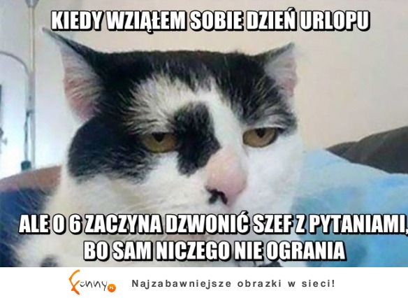na wolnym