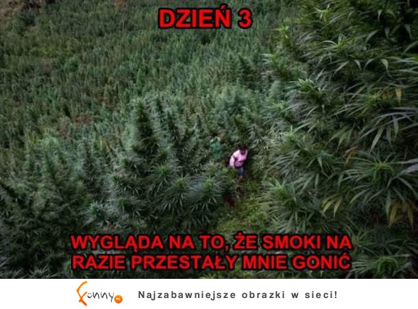 Smoków nie ma