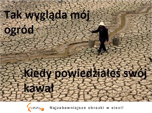 Tak wygląda mój ogród...