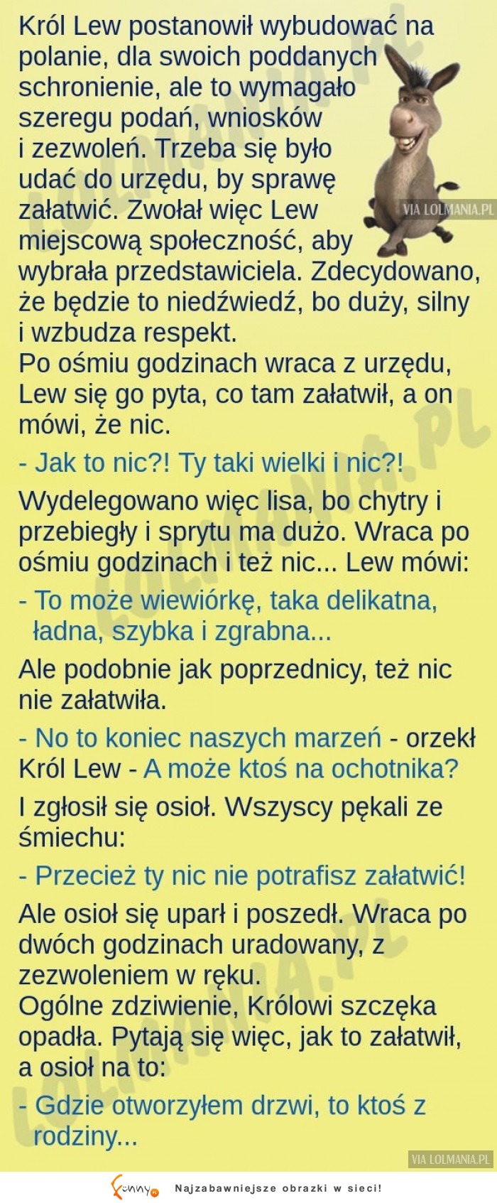 Lew sobie nie poradził w urzędzie, ale kiedy poszedł tam osioł... HAHA MEGA!