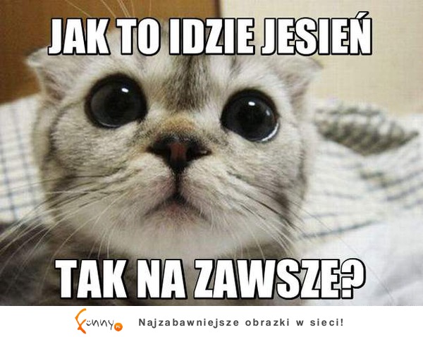 Jak to idzie jesień? :)