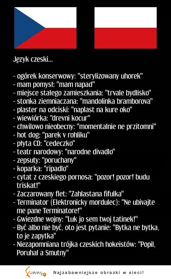 Słownik polsko-czeski! HAHA BEKA ;D