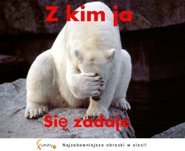 Z kim ja się zadaje