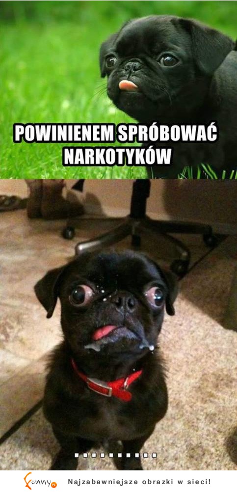 Powinienem spróbować