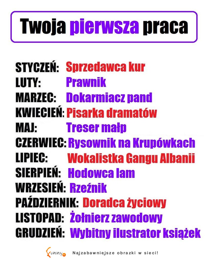 Wiemy, jaka będzie twoja pierwsza praca! :D