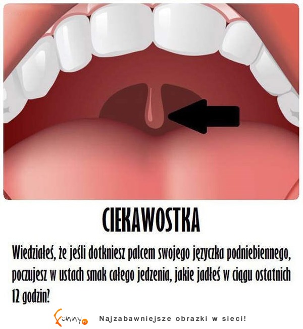 Wiesz do czego to służy? Ma specjalne zadanie, które pozwoli Ci na...