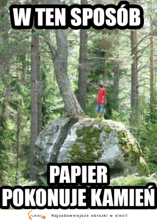 Papier&nożyce