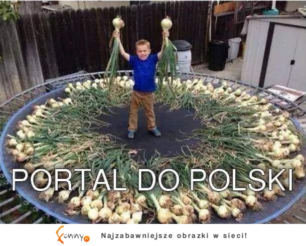 portal do Polski ;)