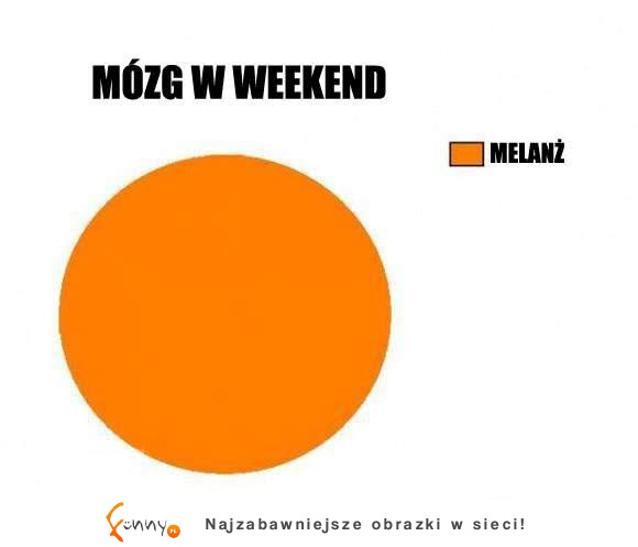 Jak wygląda mózg w weekend :D