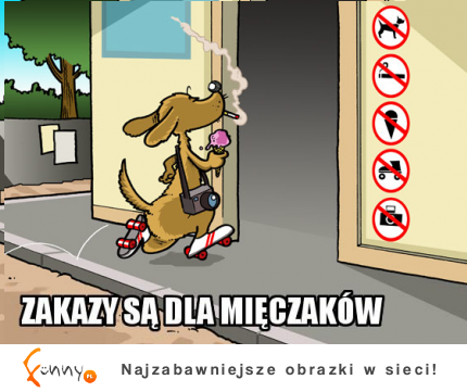 Zakazy są dla mieczaków!