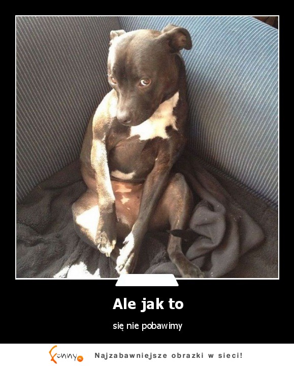 Ale jak to się nie pobawimy ;)