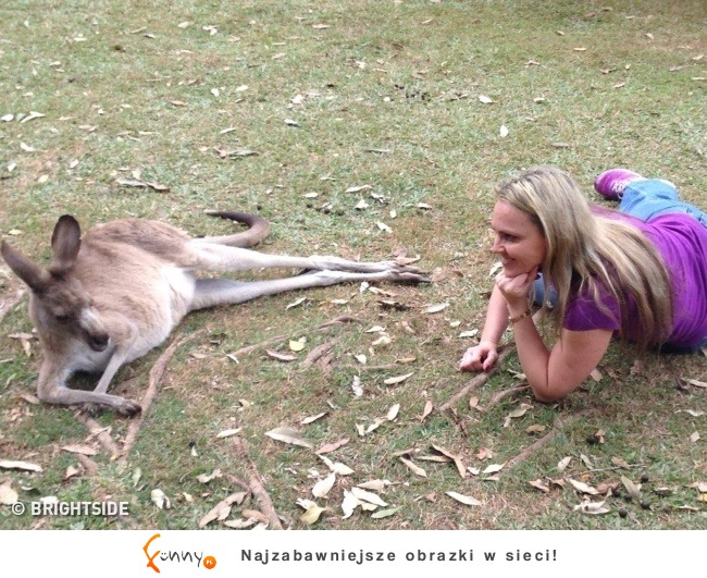 Australia – to nie inny kraj, a inny świat! Australia – to nie inny kraj, a inny świat!