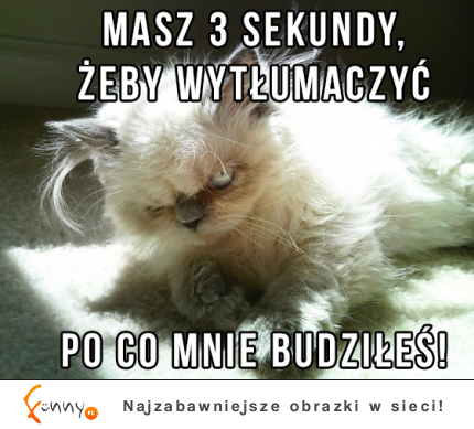 Masz 3 sekundy żeby się  wytłumaczyć :)