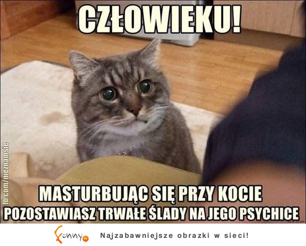 Nie rób tego przy kocie