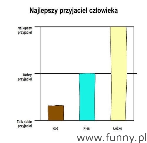 Najlepszy przyjaciel człowieka?