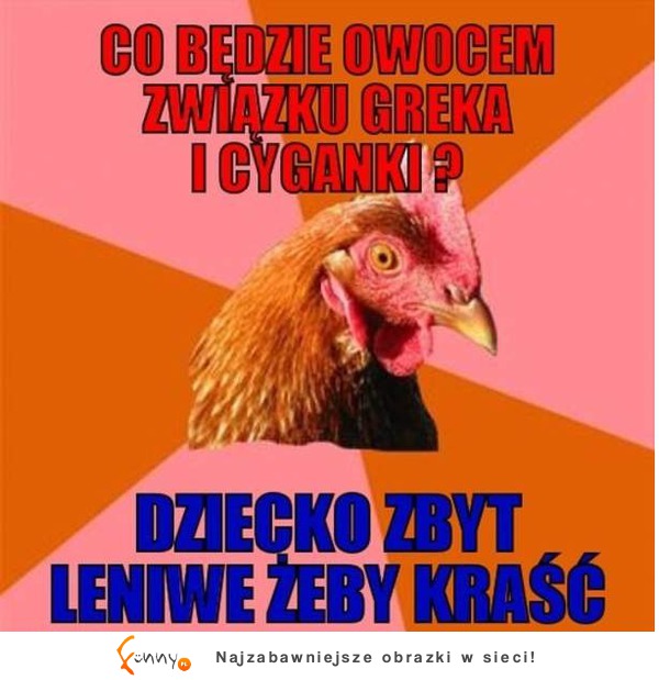 Co będzie owocem związku greka i cyganki?