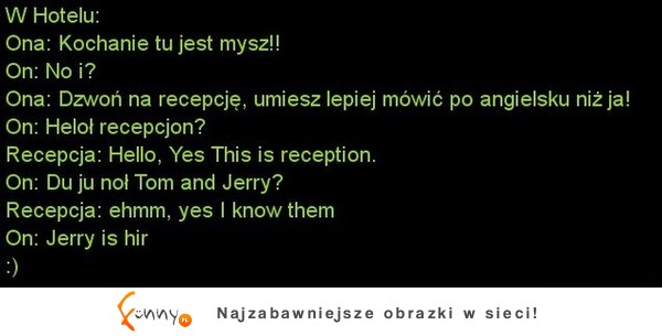 Mysz w hotelu! ZOBACZ jak to się skończyło :D