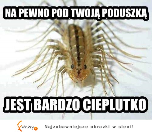 Pod Twoją poduszką