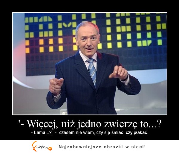 Więcej niż jedno zwierzę