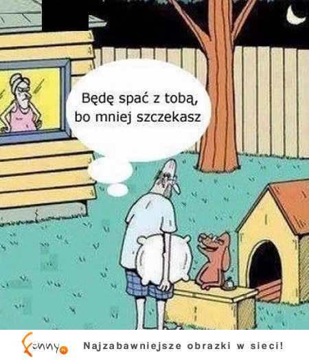 Idzie do psa