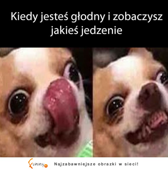 Kiedy jestes głodny