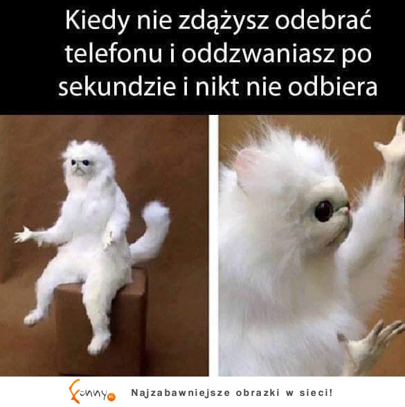 O co chodzi