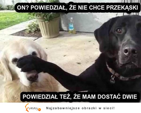 Powiedział też, że mam dostać dwie