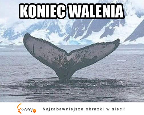 Koniec walenia :D