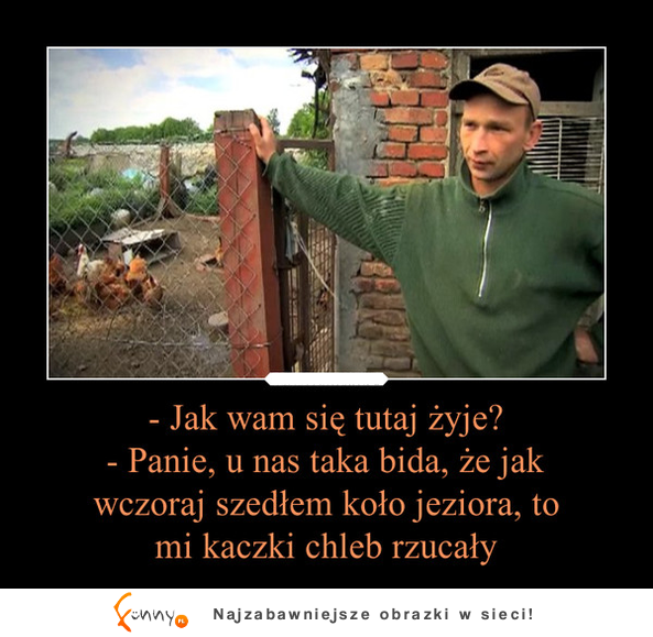 Jak się wam tutaj żyje