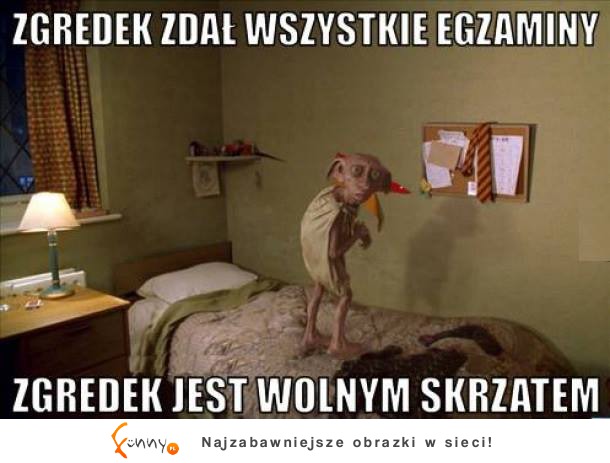 Zgredek zdał wszystkei egzaminy