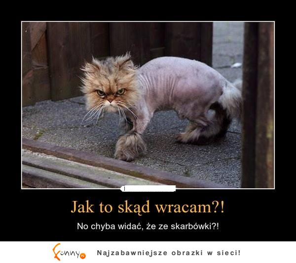 Jak to skąd wracam