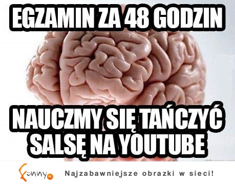 Po co się uczyc