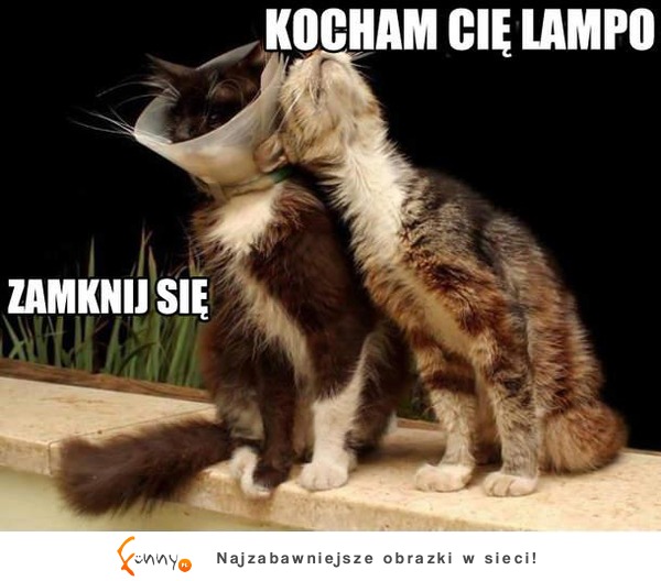 Prawie jak lampa