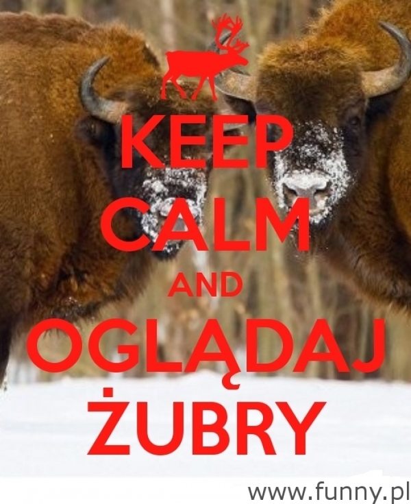 zubry