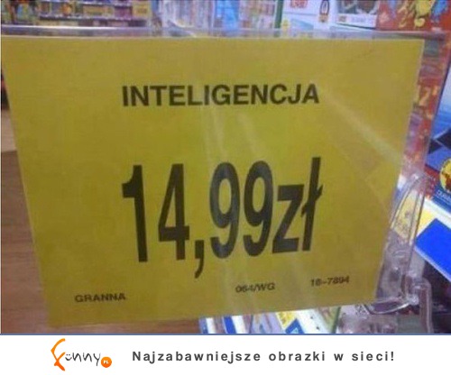 Inteligencja