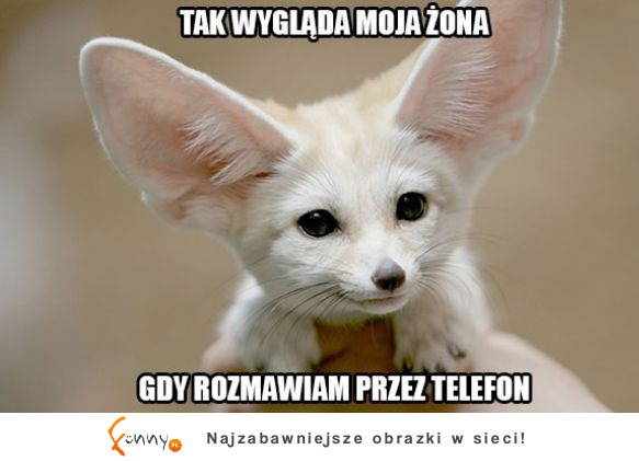 Moja żona, gdy gadam przez telefon