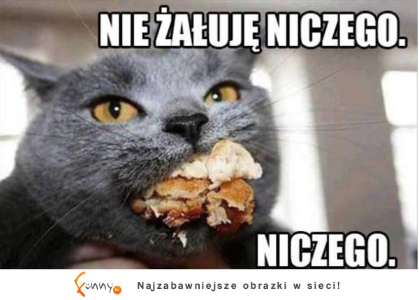 Nie żałuję niczego