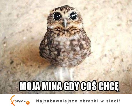 Moja mina gdy cos chcę :D