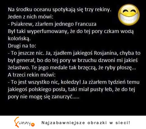 Rekiny urządziły sobie ucztę. HAHA DOBRE