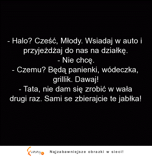 Ojciec dzwoni do syna i zaprasza go na imprezę na działkę, ale ten nie chce do niego przyjechać. Chyba już wie co ojciec ma na myśli XD