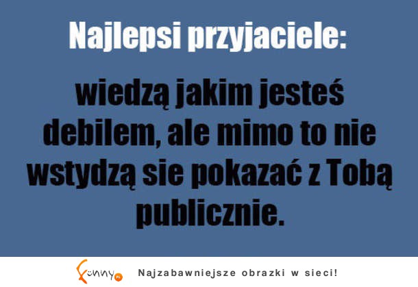 Najlepszy przyjaciel (2)