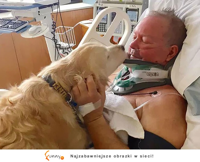Psi bohaterowie, czyli dlaczego pies jest najlepszym przyjacielem człowieka Psi bohaterowie, czyli dlaczego pies jest najlepszym przyjacielem człowieka