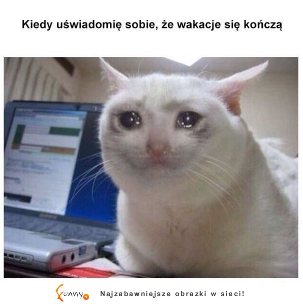 Lepiej się tego nie dało wyrazić :D